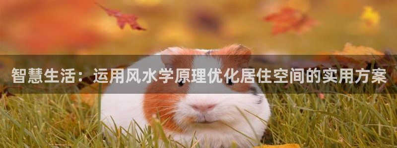 意昂3五金厂：智慧生活：运用风水学原理优化居住空间的实用方案