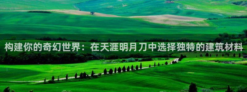 意昂平台体育：构建你的奇幻世界：在天涯明月刀中选择独特的建筑材料