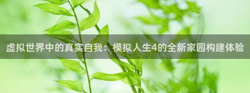 意昂体育3招商：虚拟世界中的真实自我：模拟人生4的全新家园构建体验