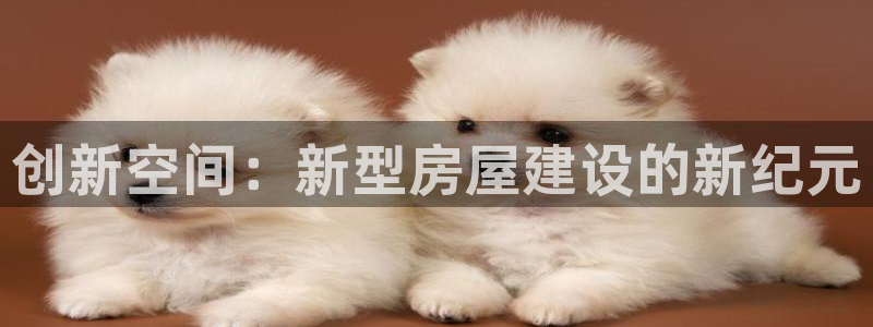 意昂体育3平台注册要钱吗安全吗：创新空间：新型房屋建设的新纪元