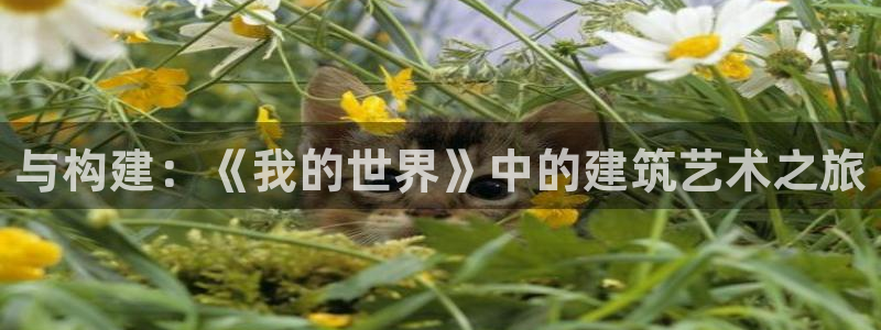 意昂体育3招商电话：与构建：《我的世界》中的建筑艺术之旅