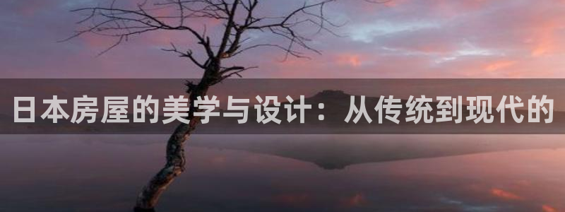 意昂体育3平台APP：日本房屋的美学与设计：从传统到现代的