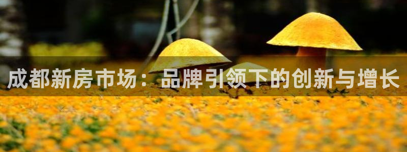 意昂体育3联系电话：成都新房市场：品牌引领下的创新与增长