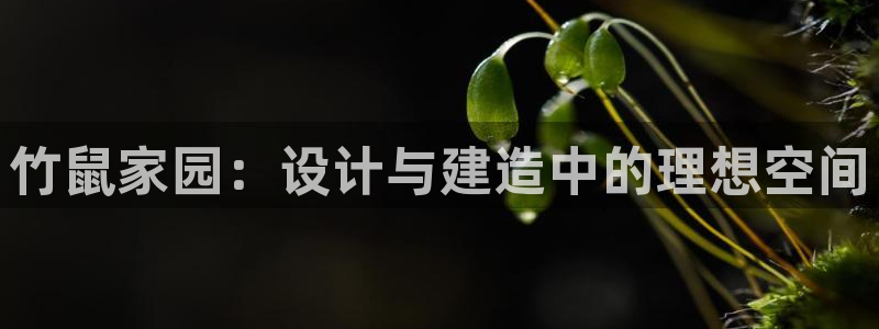 意昂3娱乐首页网站大全：竹鼠家园：设计与建造中的理想空间