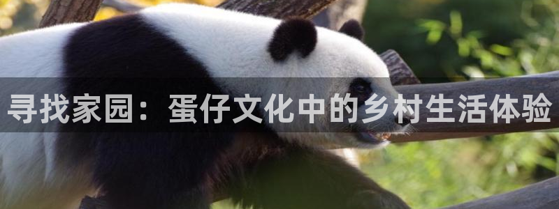 意昂体育3招商电话号码查询