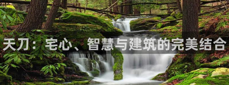 意昂3官方：天刀：宅心、智慧与建筑的完美结合