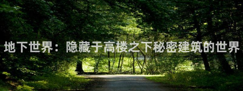 意昂体育3平台注册要钱吗安全吗：地下世界：隐藏于高楼之下秘密建筑的世界