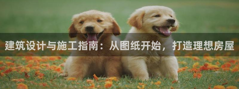 意昂3娱乐首页网站大全