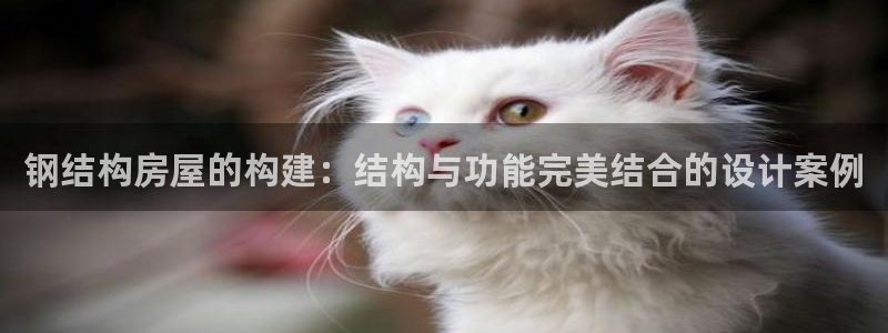 意昂3娱乐网站：钢结构房屋的构建：结构与功能完美结合的设计案例
