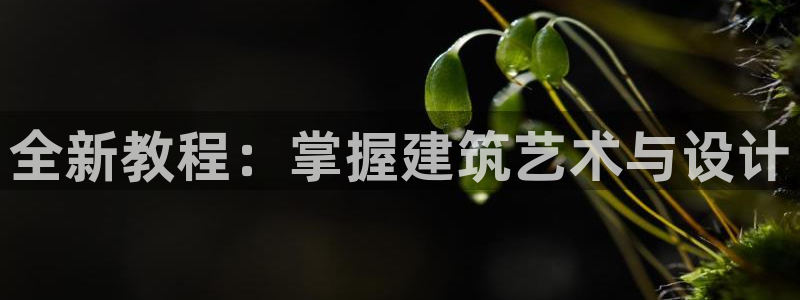 意昂体育3平台假的吗是真的吗