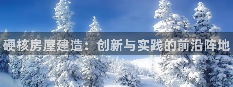 意昂平台体育：硬核房屋建造：创新与实践的前沿阵地