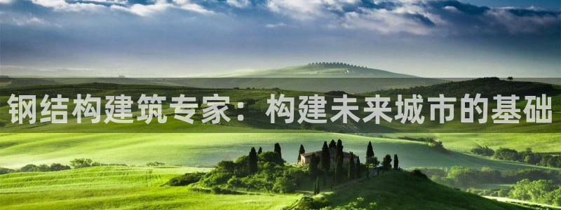 意昂3娱乐网站：钢结构建筑专家：构建未来城市的基础