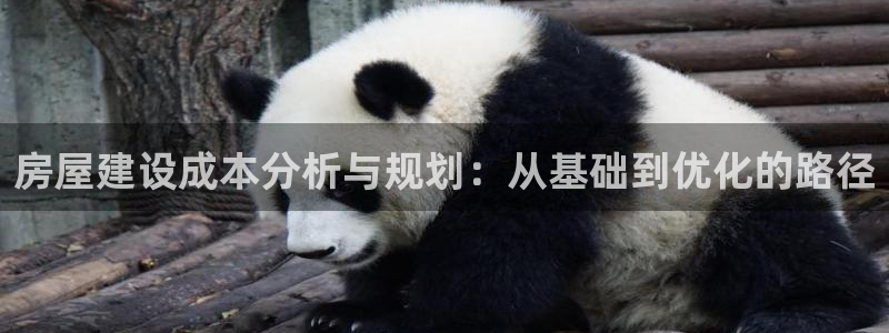 意昂3集团logo：房屋建设成本分析与规划：从基础到优化的路径