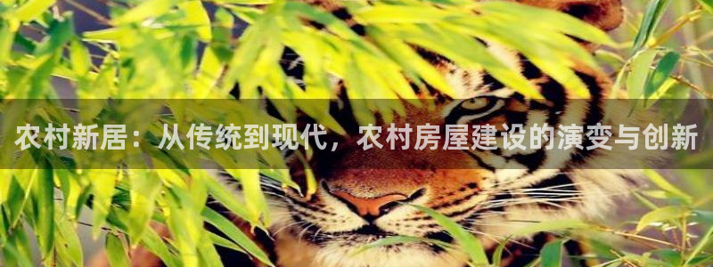 意昂体育3联系电话：农村新居：从传统到现代，农村房屋建设的演变与创新