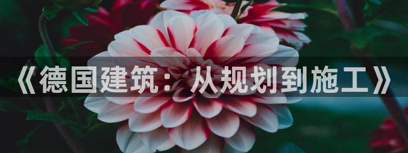 意昂体育3招商电话：《德国建筑：从规划到施工》