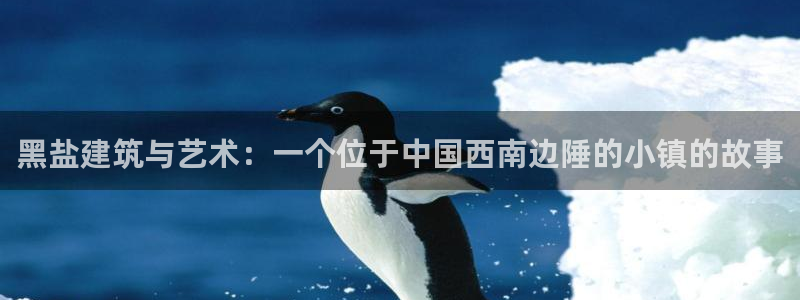 注册意昂3：黑盐建筑与艺术：一个位于中国西南边陲的小镇的故事