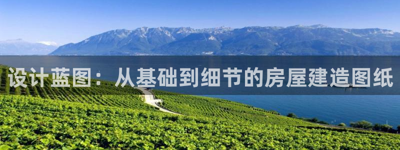 意昂3集团logo：设计蓝图：从基础到细节的房屋建造图纸