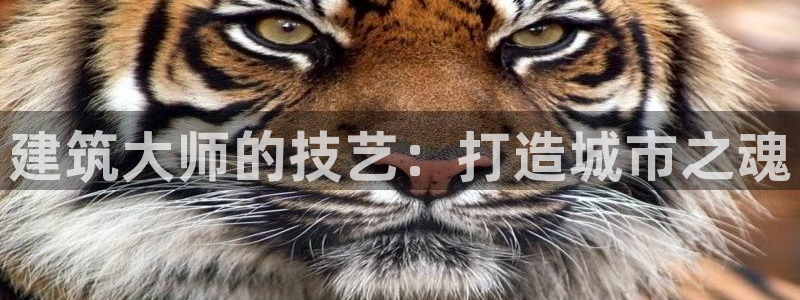 意昂3娱乐是那个系列的台子：建筑大师的技艺：打造城市之魂