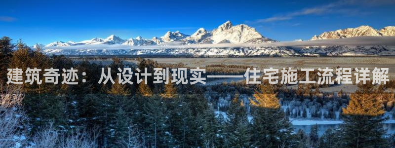 意昂体育3平台注册要钱吗：建筑奇迹：从设计到现实——住宅施工流程详解