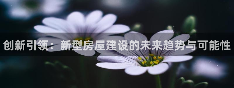 意昂3集团官网首页网址：创新引领：新型房屋建设的未来趋势与可能性