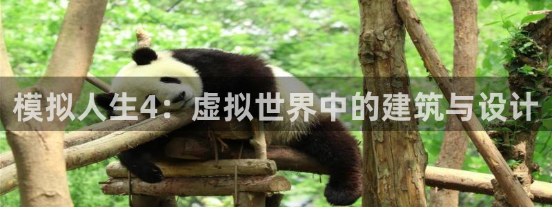 意昂体育3招商：模拟人生4：虚拟世界中的建筑与设计