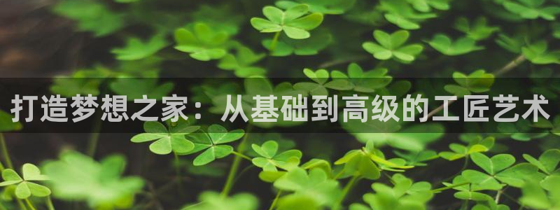 意昂体育3招商电话号码查询是多少：打造梦想之家：从基础到高级的工匠艺术