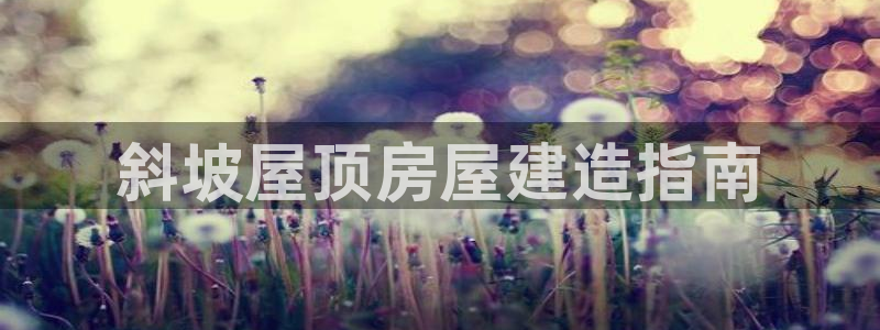 意昂3娱乐下载：斜坡屋顶房屋建造指南