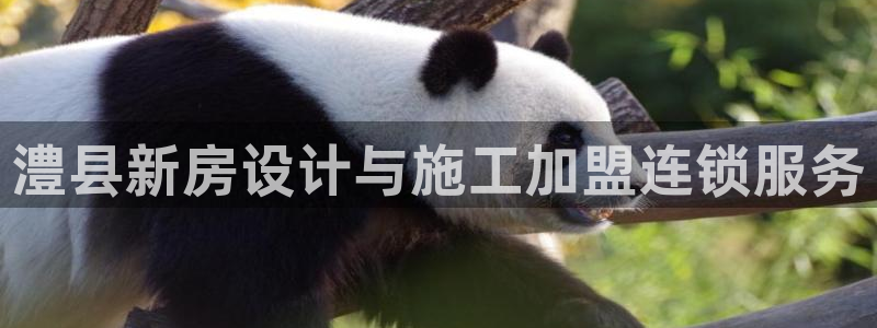 意昂3集团简介：澧县新房设计与施工加盟连锁服务