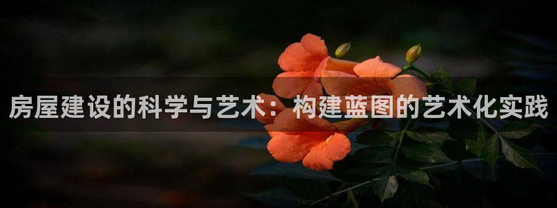 意昂体育3招商电话：房屋建设的科学与艺术：构建蓝图的艺术化实践