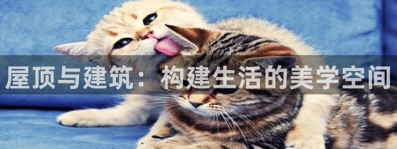 意昂体育3软件：屋顶与建筑：构建生活的美学空间