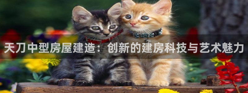 意昂体育3招商电话号码是多少号：天刀中型房屋建造：创新的建房科技与艺术魅力