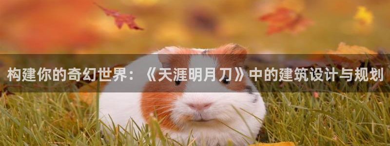 意昂体育3招商电话号码查询是多少：构建你的奇幻世界：《天涯明月刀》中的建筑设计与规划