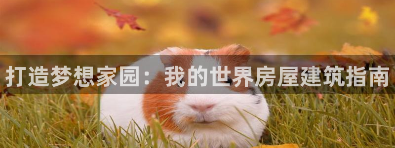 意昂3集团官网首页：打造梦想家园：我的世界房屋建筑指南