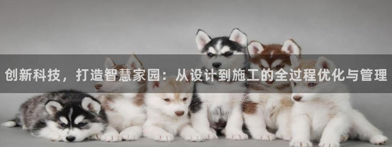 意昂3官网：创新科技，打造智慧家园：从设计到施工的全过程优化与管理