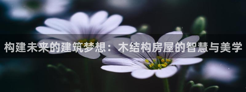 意昂3官网：构建未来的建筑梦想：木结构房屋的智慧与美学