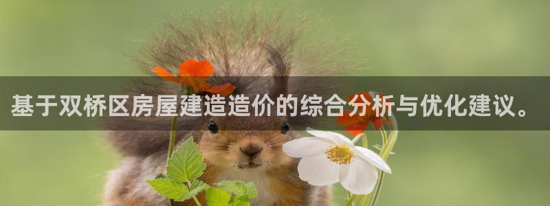 意昂3娱乐代理怎么样：基于双桥区房屋建造造价的综合分析与优化建议。