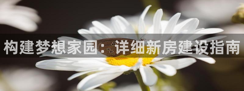 意昂3官网：构建梦想家园：详细新房建设指南