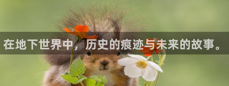 意昂3集团官网首页网址：在地下世界中，历史的痕迹与未来的故事。