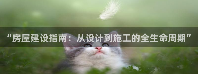 意昂体育3平台注册：“房屋建设指南：从设计到施工的全生命周期”