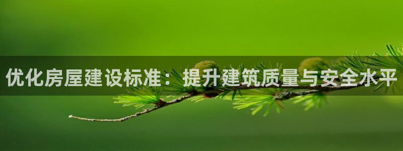 意昂体育3：优化房屋建设标准：提升建筑质量与安全水平