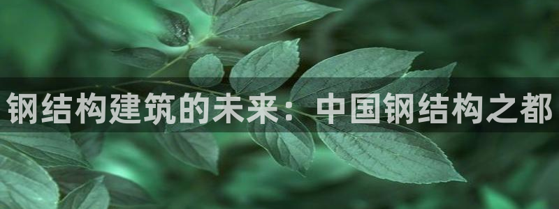 意昂体育3招商电话地址：钢结构建筑的未来：中国钢结构之都