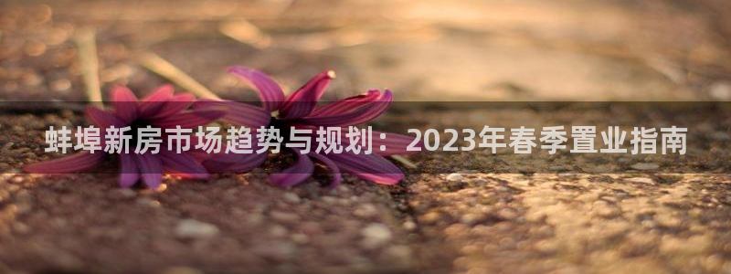 意昂3新能源：蚌埠新房市场趋势与规划：2023年春季置业指南