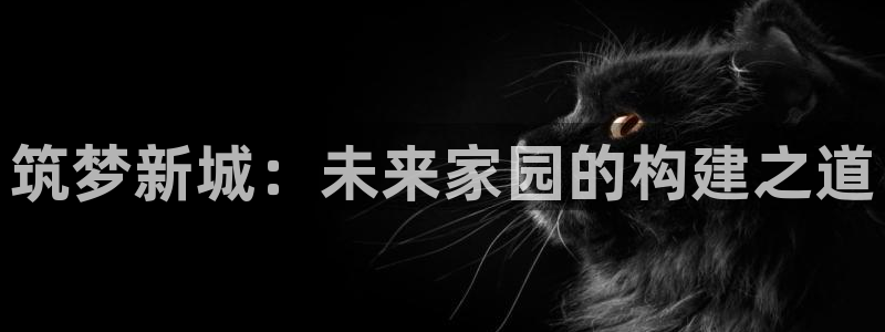 意昂3娱乐首页网站大全：筑梦新城：未来家园的构建之道