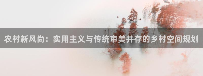 意昂体育3软件：农村新风尚：实用主义与传统审美并存的乡村空间规划