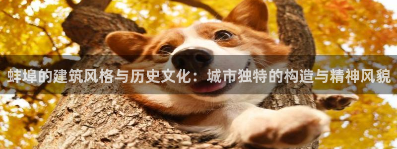 意昂体育3注册：蚌埠的建筑风格与历史文化：城市独特的构造与精神风貌