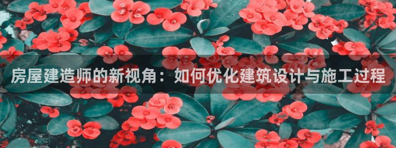 意昂体育3招商电话地址查询：房屋建造师的新视角：如何优化建筑设计与施工过程